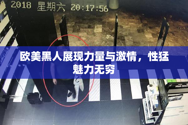 欧美黑人展现力量与激情，性猛魅力无穷