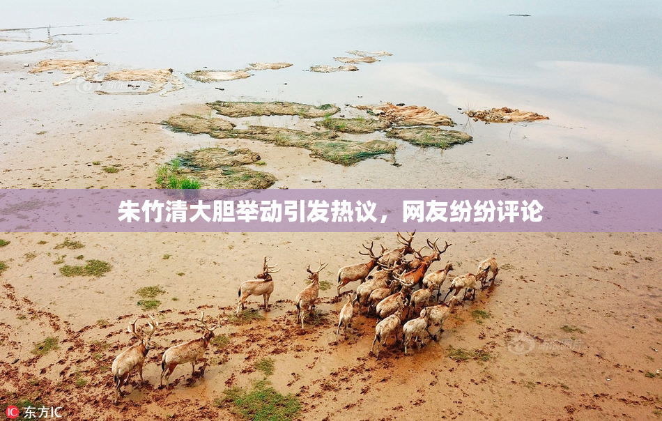 朱竹清大胆举动引发热议，网友纷纷评论