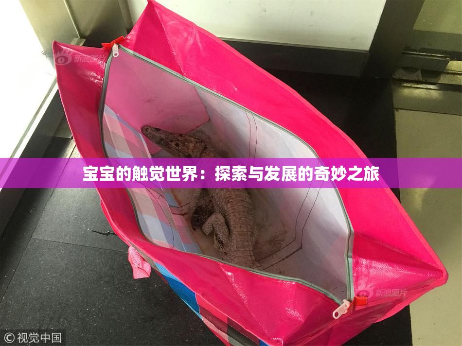 宝宝的触觉世界：探索与发展的奇妙之旅