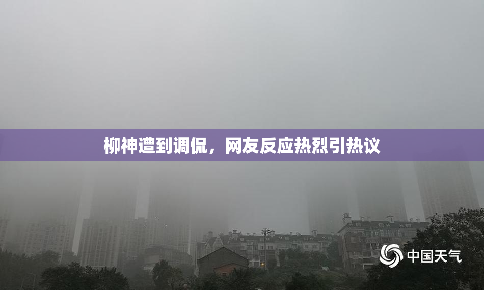 柳神遭到调侃，网友反应热烈引热议