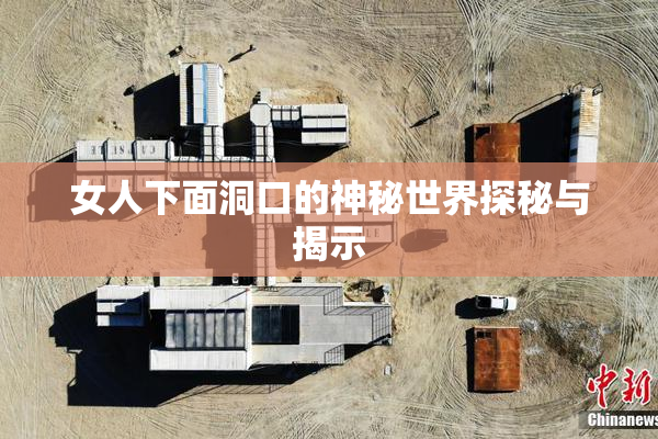 女人下面洞口的神秘世界探秘与揭示