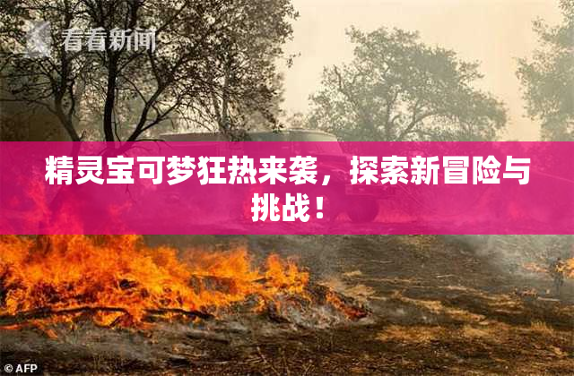精灵宝可梦狂热来袭，探索新冒险与挑战！
