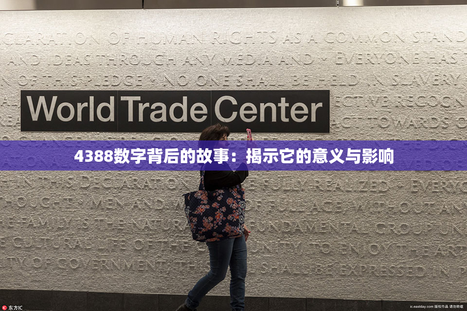 4388数字背后的故事：揭示它的意义与影响