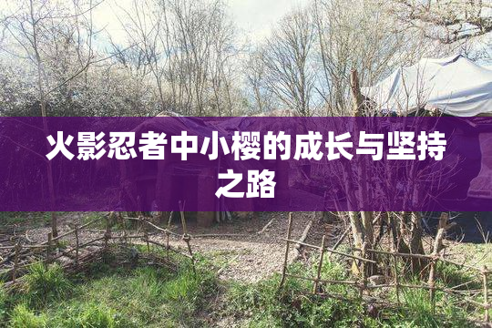 火影忍者中小樱的成长与坚持之路