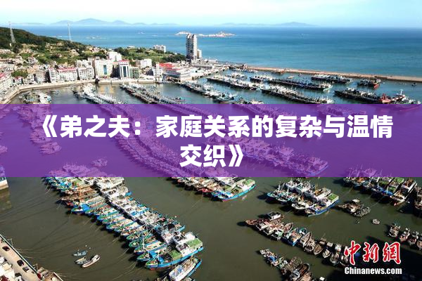 《弟之夫：家庭关系的复杂与温情交织》