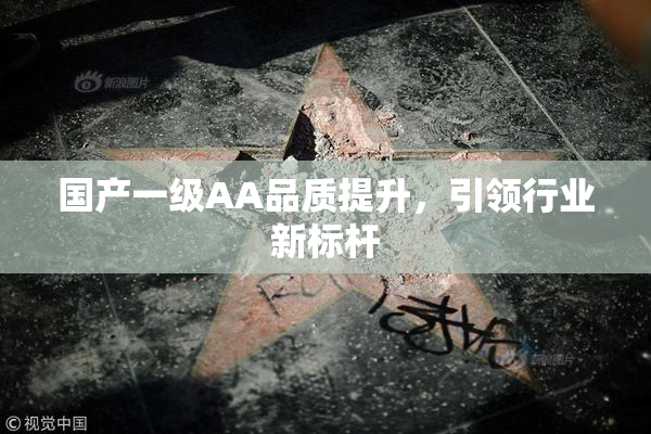国产一级AA品质提升，引领行业新标杆