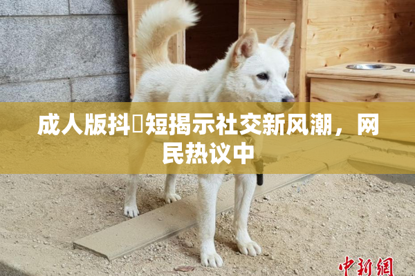成人版抖抈短揭示社交新风潮，网民热议中