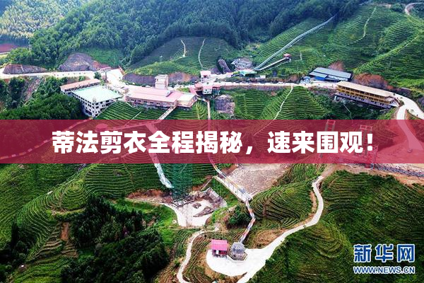 蒂法剪衣全程揭秘，速来围观！