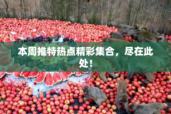 本周推特热点精彩集合，尽在此处！
