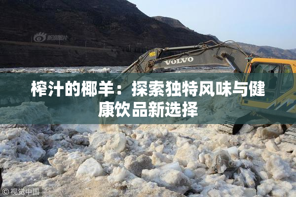 榨汁的椰羊：探索独特风味与健康饮品新选择