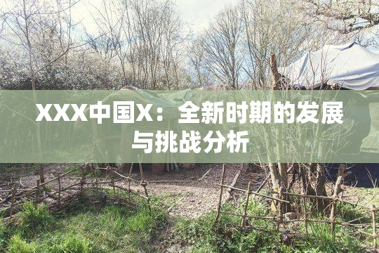 XXX中国X：全新时期的发展与挑战分析