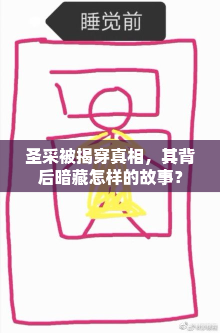 圣采被揭穿真相，其背后暗藏怎样的故事？