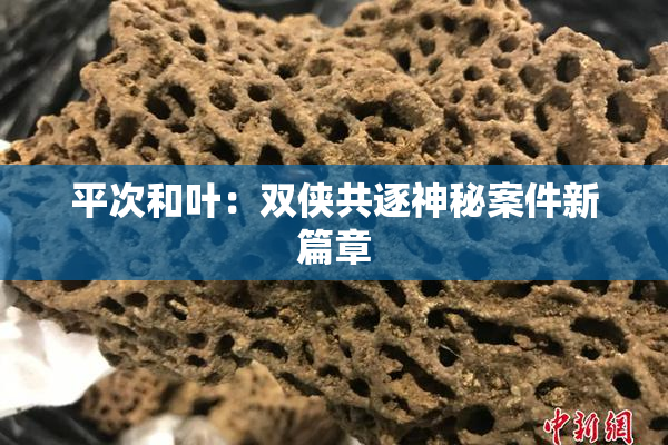 平次和叶：双侠共逐神秘案件新篇章