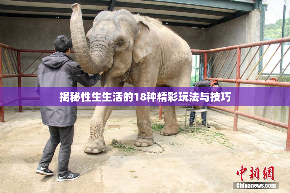 揭秘性生生活的18种精彩玩法与技巧