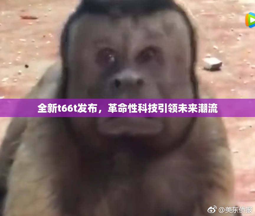 全新t66t发布，革命性科技引领未来潮流