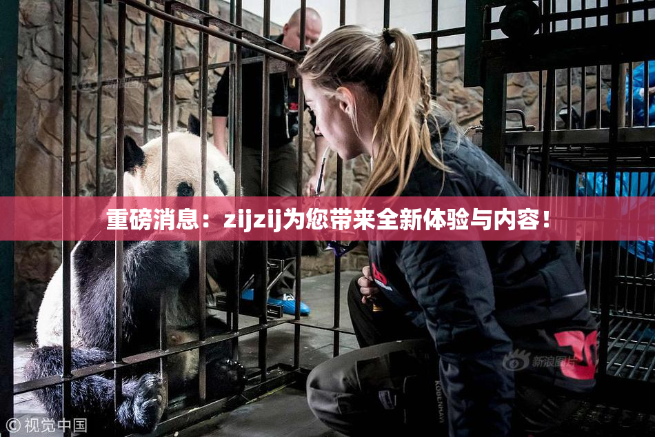 重磅消息：zijzij为您带来全新体验与内容！