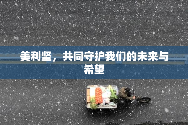 美利坚，共同守护我们的未来与希望