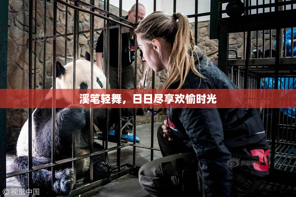 溪笔轻舞，日日尽享欢愉时光