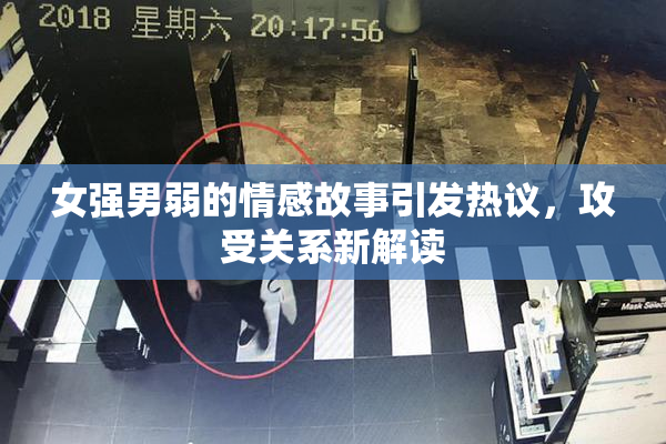 女强男弱的情感故事引发热议，攻受关系新解读