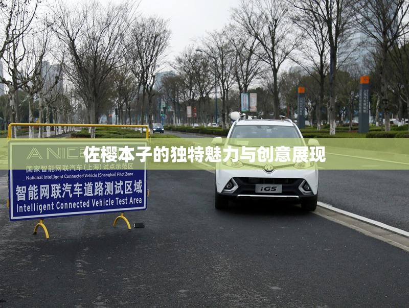 佐樱本子的独特魅力与创意展现