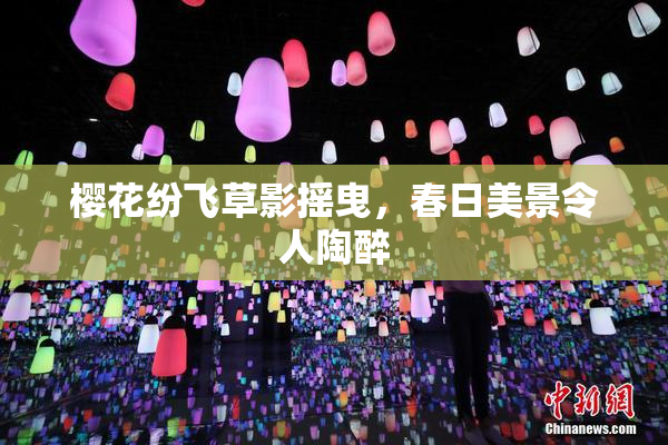 樱花纷飞草影摇曳，春日美景令人陶醉