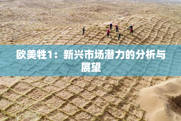 欧美牲1：新兴市场潜力的分析与展望