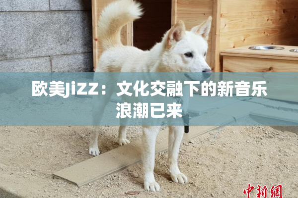 欧美JiZZ：文化交融下的新音乐浪潮已来