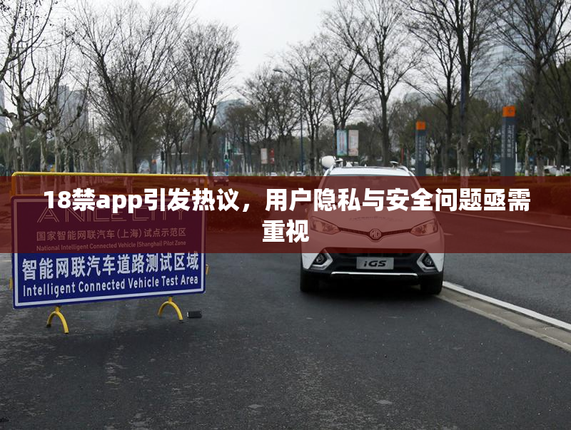 18禁app引发热议，用户隐私与安全问题亟需重视
