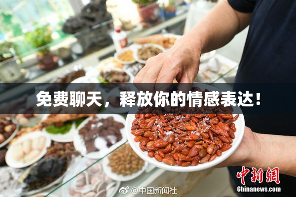 免费聊天，释放你的情感表达！