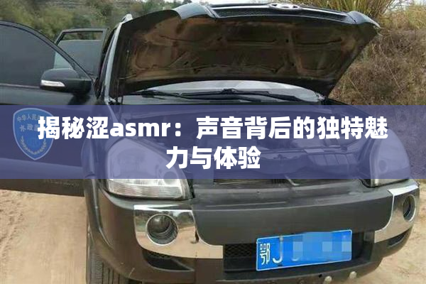 揭秘涩asmr：声音背后的独特魅力与体验