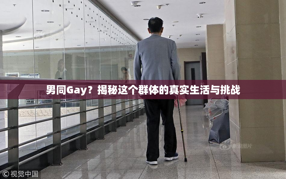 男同Gay？揭秘这个群体的真实生活与挑战