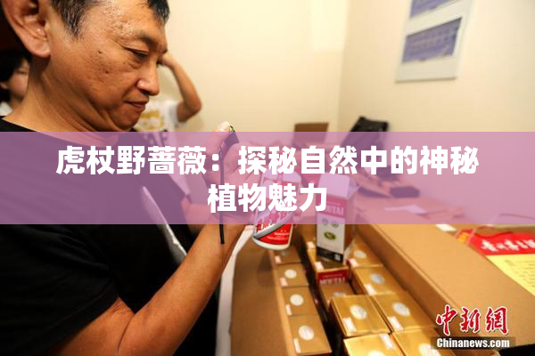 虎杖野蔷薇：探秘自然中的神秘植物魅力