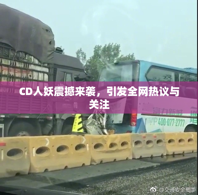 CD人妖震撼来袭，引发全网热议与关注