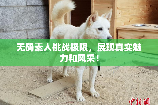无码素人挑战极限，展现真实魅力和风采！