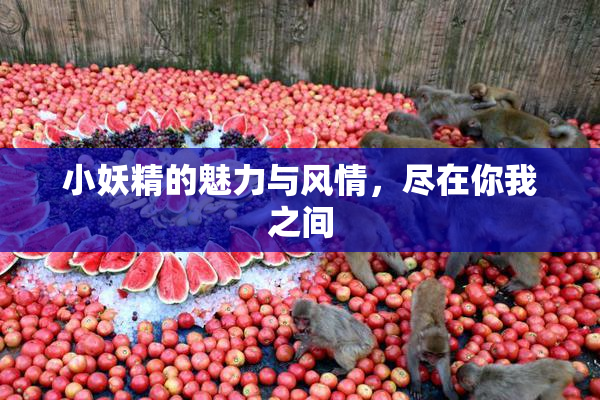 小妖精的魅力与风情，尽在你我之间
