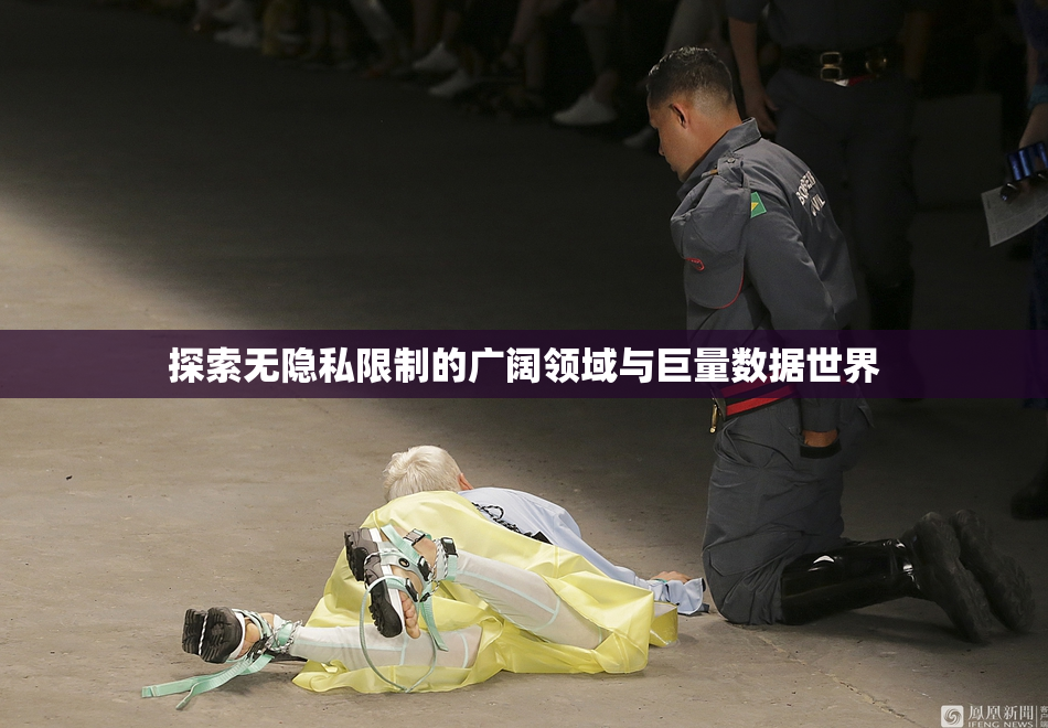 探索无隐私限制的广阔领域与巨量数据世界