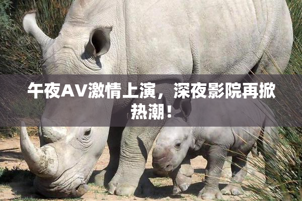午夜AV激情上演，深夜影院再掀热潮！