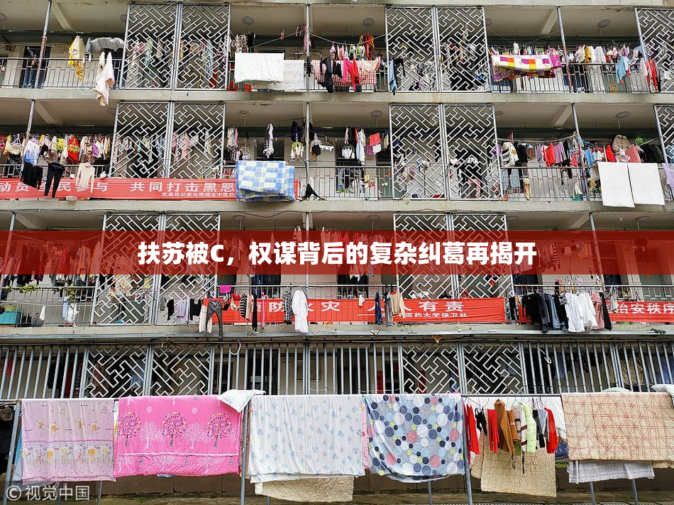 扶苏被C，权谋背后的复杂纠葛再揭开