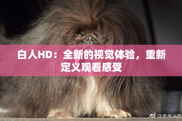 白人HD：全新的视觉体验，重新定义观看感受