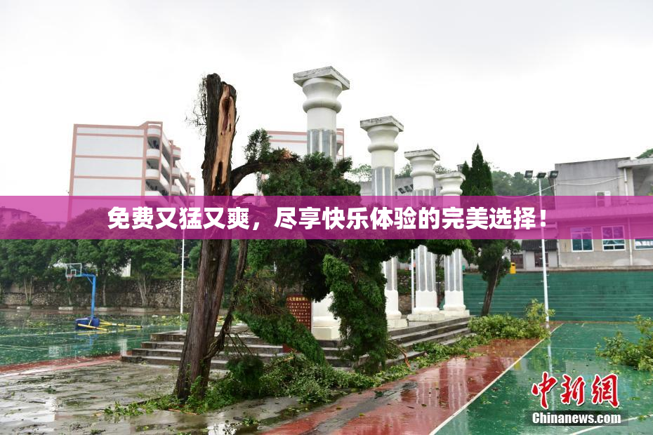 免费又猛又爽，尽享快乐体验的完美选择！