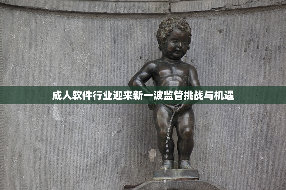 成人软件行业迎来新一波监管挑战与机遇