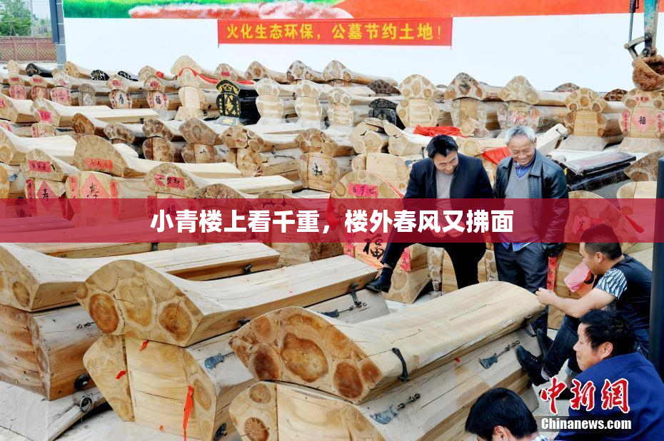 小青楼上看千重，楼外春风又拂面