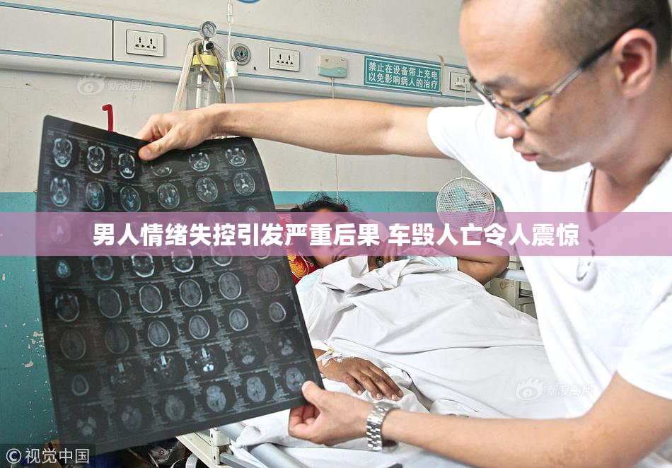 男人情绪失控引发严重后果 车毁人亡令人震惊
