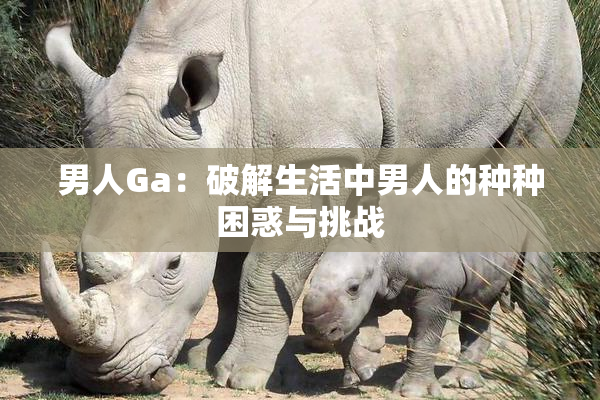 男人Ga：破解生活中男人的种种困惑与挑战