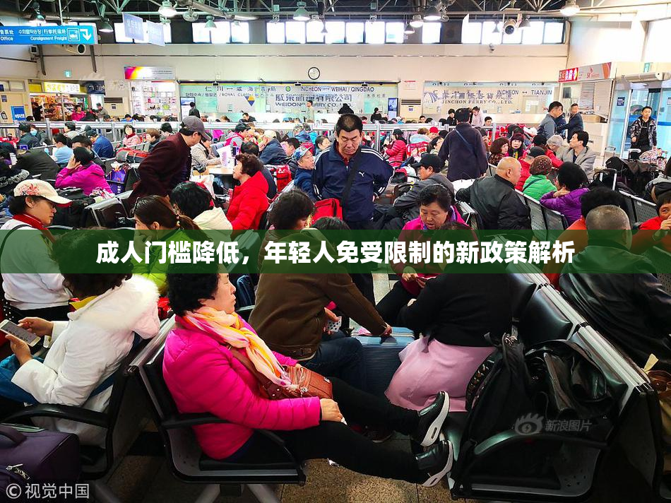 成人门槛降低，年轻人免受限制的新政策解析