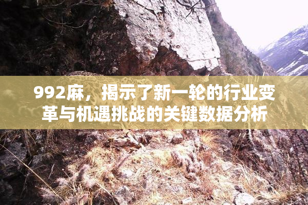 992麻，揭示了新一轮的行业变革与机遇挑战的关键数据分析