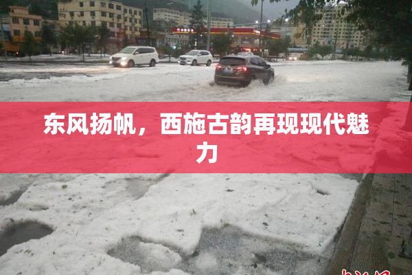 东风扬帆，西施古韵再现现代魅力