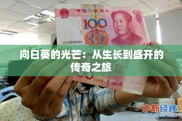 向日葵的光芒：从生长到盛开的传奇之旅