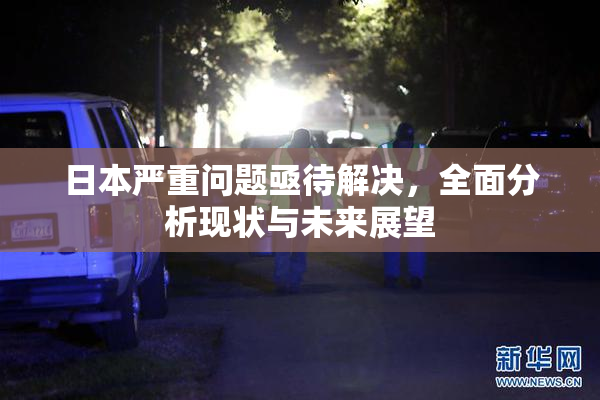 日本严重问题亟待解决，全面分析现状与未来展望