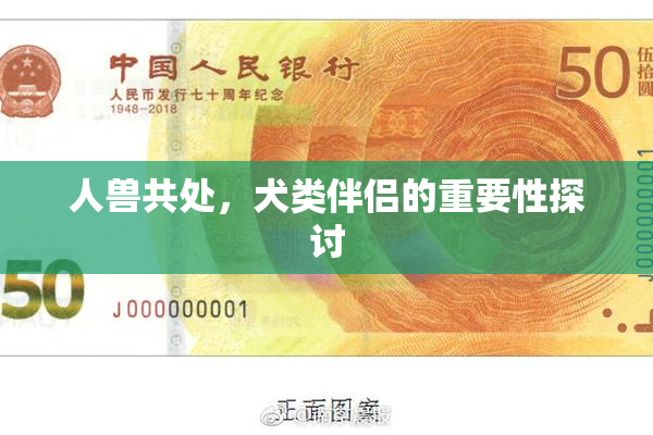 人兽共处，犬类伴侣的重要性探讨